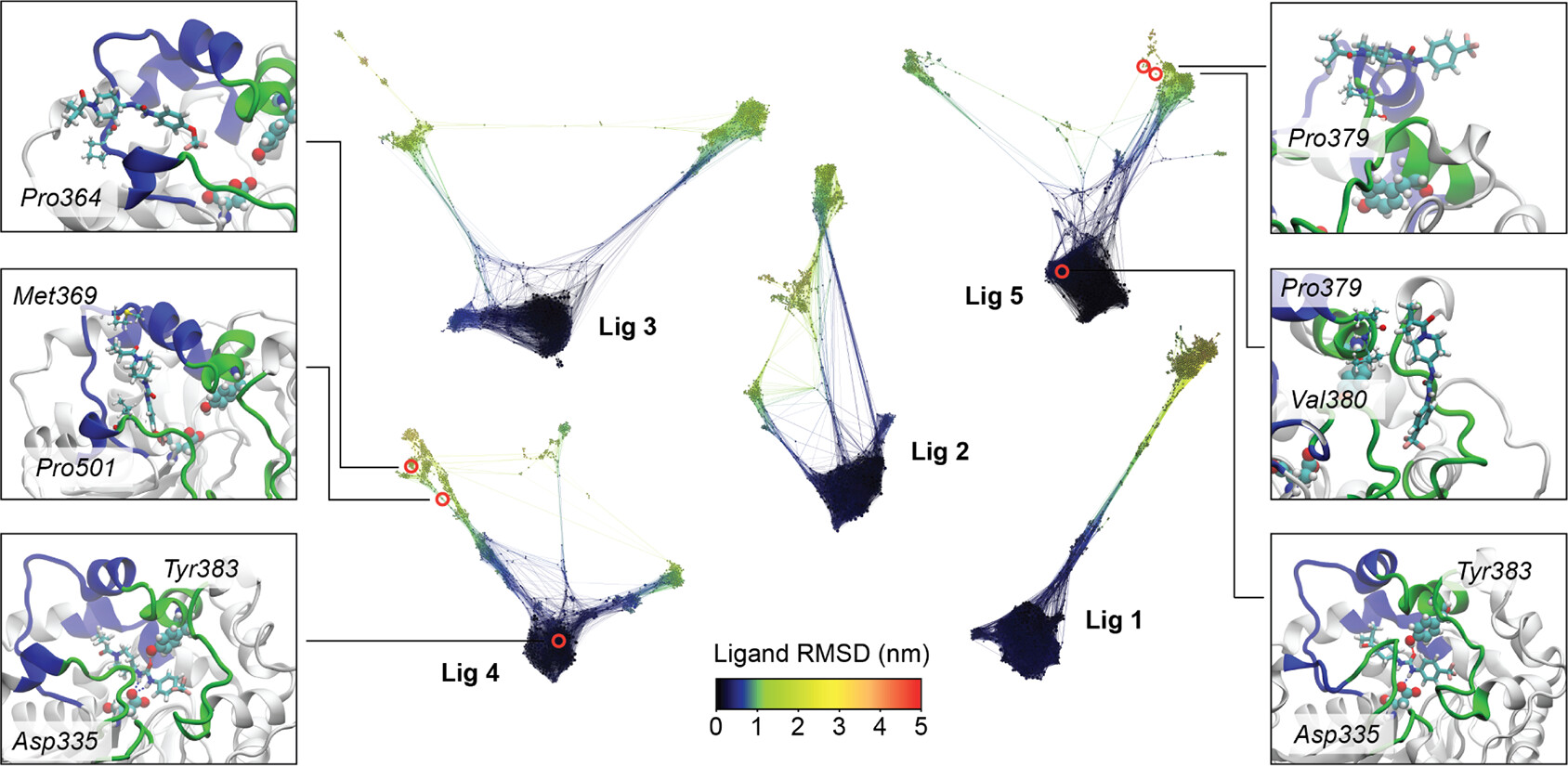Conformational-space networks of ligand unbinding from soluble epoxide hydrolase