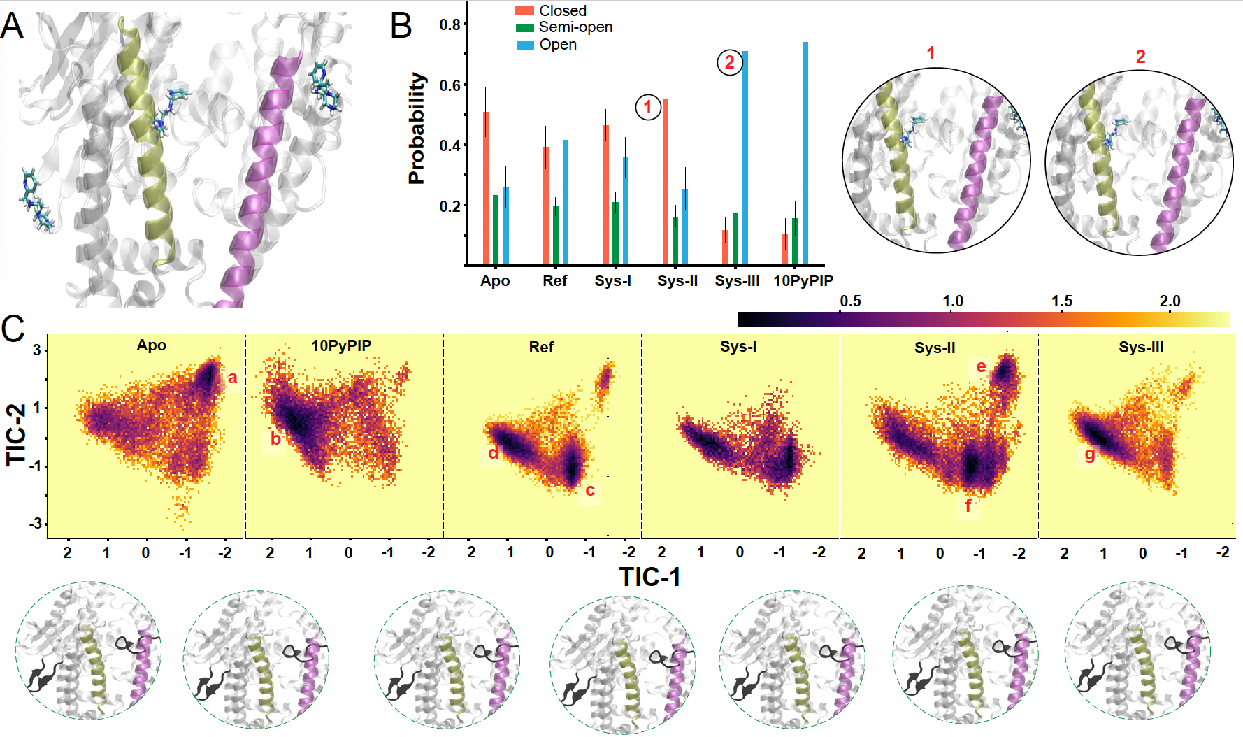 Allosteric modulation of neurolysin across binding sites